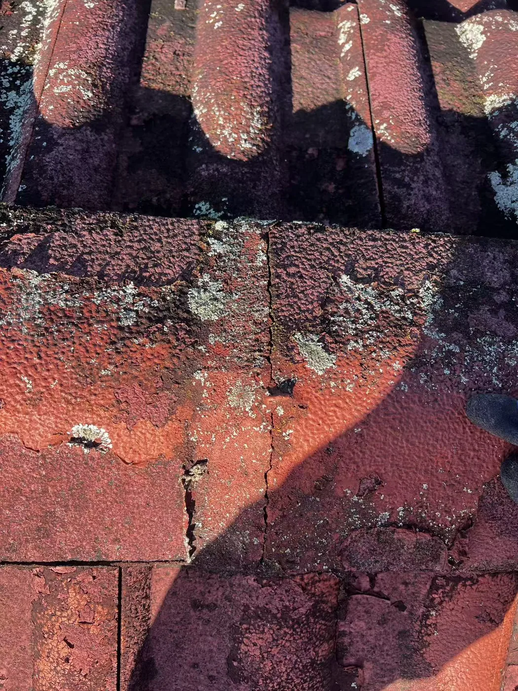 Detailed view of ridge capping and bedding material